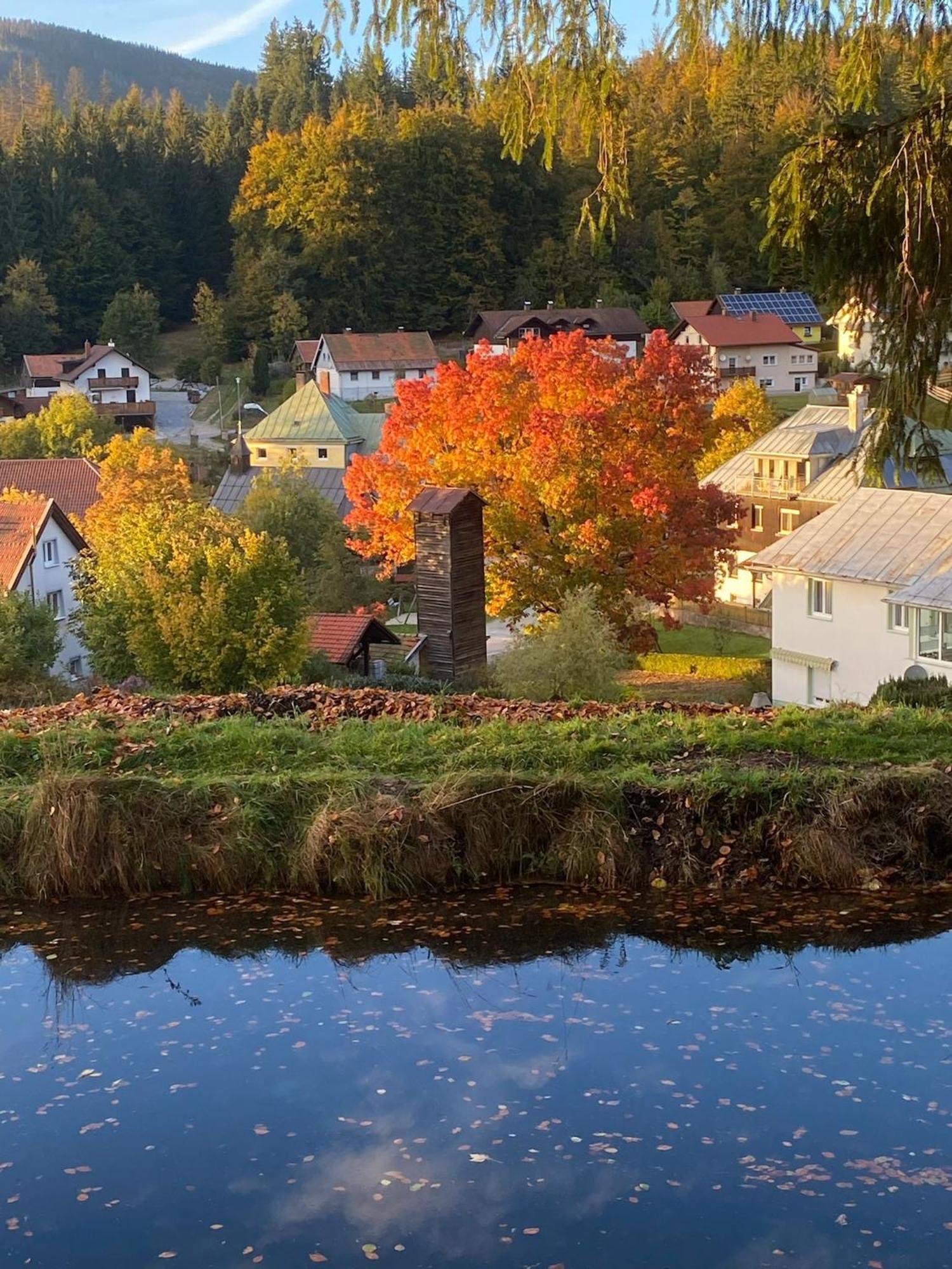 Das Alte Forsthaus Spiegelhuette Lindberg Exterior photo